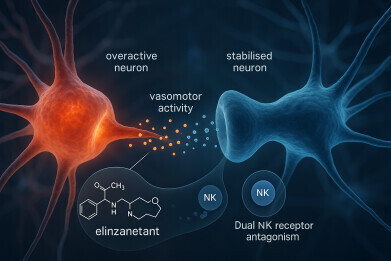 FDA approves elinzanetant following UK’s MHRA first-in-world marketing authorisation