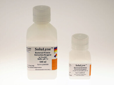 High-yield protein extraction from bacterial cells