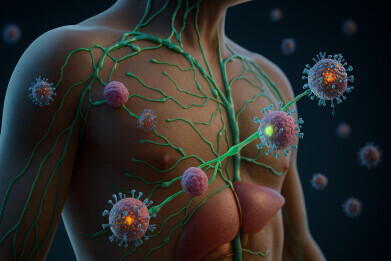 Albumin-hitchhiking lipid nanoparticles target lymph nodes to boost mRNA vaccine safety