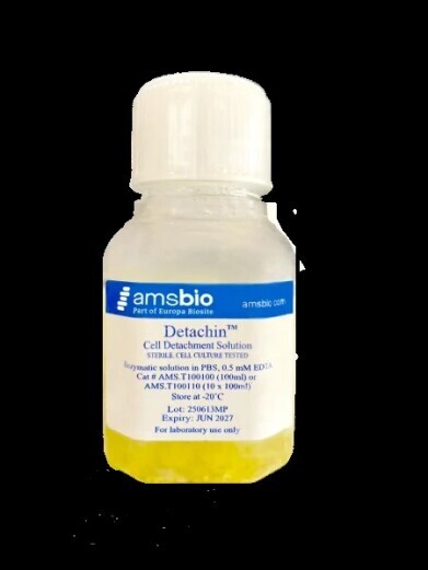 Fast and gentle detachment of delicate adherent cells