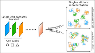 Machine learning untangles complex single-cell data
