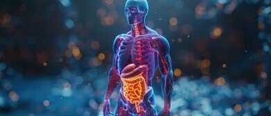 Stroke triggers gut immune changes and microbiome shifts, study finds