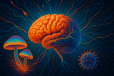 Psilocybin and rabies virus tracing reveal how psychedelics rewire brain for depression treatment