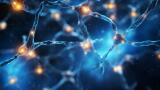 Novel therapy gains FDA clearance for ALS clinical trial