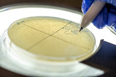 Hidden viral RNA switch reshapes understanding of bacteriophage infection mechanism