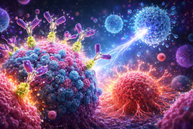 Reprogrammed sugar signals help the immune system to attack cancer cells