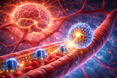 Brain blood flow restored in dementia models by replacing a missing lipid: study