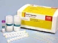 New Bax Assay Allows Fast and Accurate Identification of Campylobacter Species 