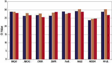 DNA Methylation Assays