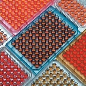 Testing the Role of Microplate Contamination in Elevated Solvent Boiling