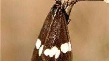 Distek, Inc. Releases Model 2500 Water Bath Dissolution Unit