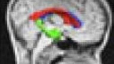 Free white paper from Purite on RO management online now