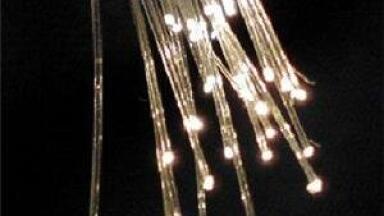 Genome-Wide qPCR Primers Ideal for Use with Intercalating Dyes