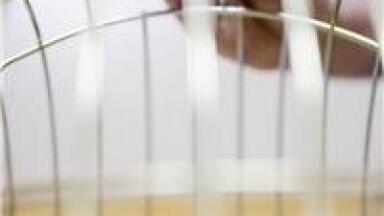 Patent Secured for Market-Leading CGH Assays