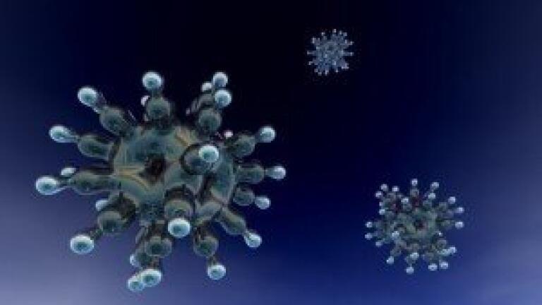 Next Generation of CO2 Incubators for Demanding Cell Culture Applications