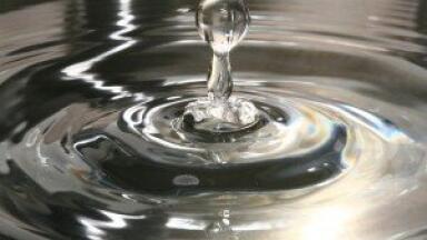 New Medium Enhances Hybridoma Protein and Monoclonal Antibody Production