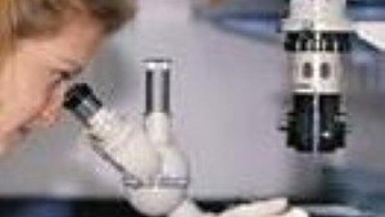 Rapid SARS-CoV-2 Detection in Wastewater