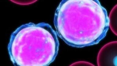 Microarray Screening Device Launched