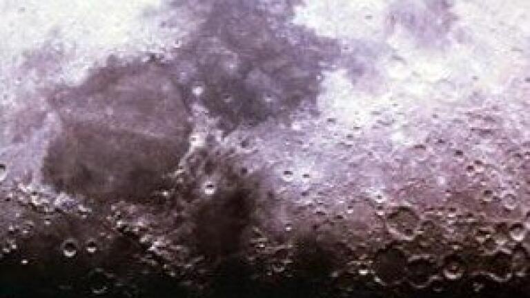 Collaboration in Vaccine Development Announced