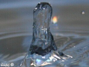 New Laboratory Balances Launched