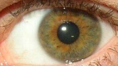 UK’s Biggest Lab Show returns to Wembley Stadium