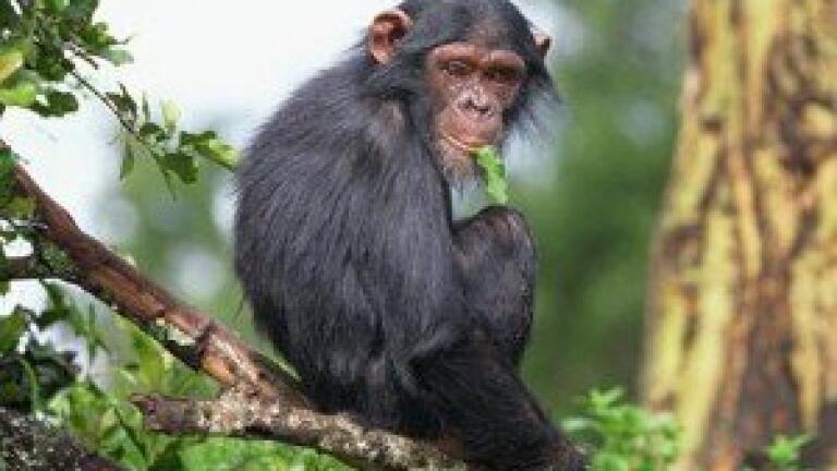 IDEX Health & Science Announces Acquisition of Finger Lakes Instrumentation