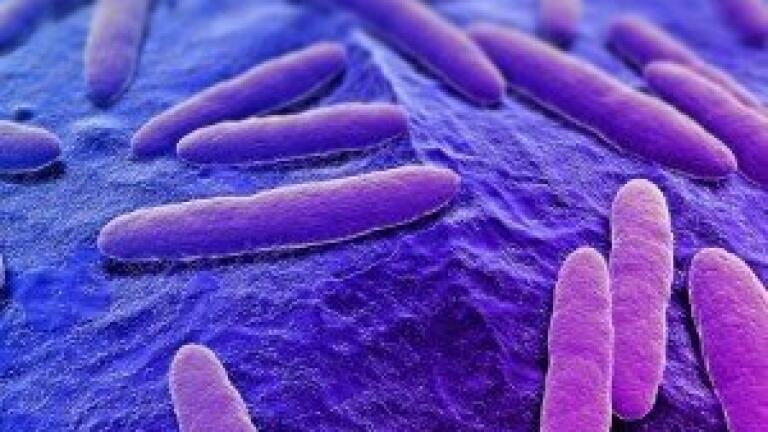 Atlas Strengthens Sales Division