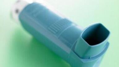 Made-to-Measure Phospho-Specific Polyclonal Antibodies 