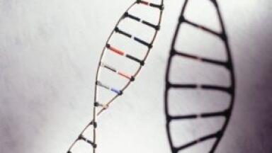 Exome Target- Enrichment System to Analyse 1,500 Samples Genetic Population Study