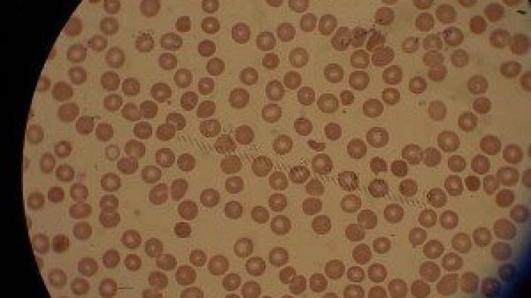 Cresset Appoints Japanese Distributor