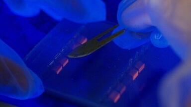 Panasonic’s new MDF-U76V is the most energy-efficient 700 litre -86ºC freezer available