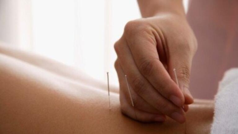 Tool Helps Predict Gene Expression in Plants