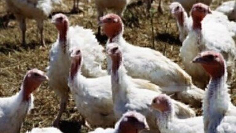 Call for nominations:catalysis researchers