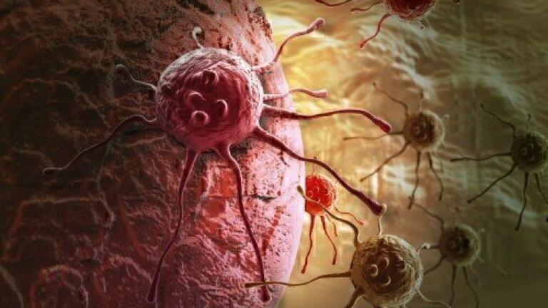 Would you try this with your pipette?