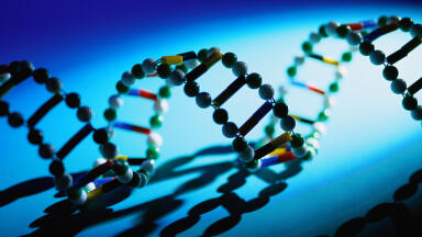 Distek, Inc Acquires the Fibre Optic UV Line from Leap Technologies